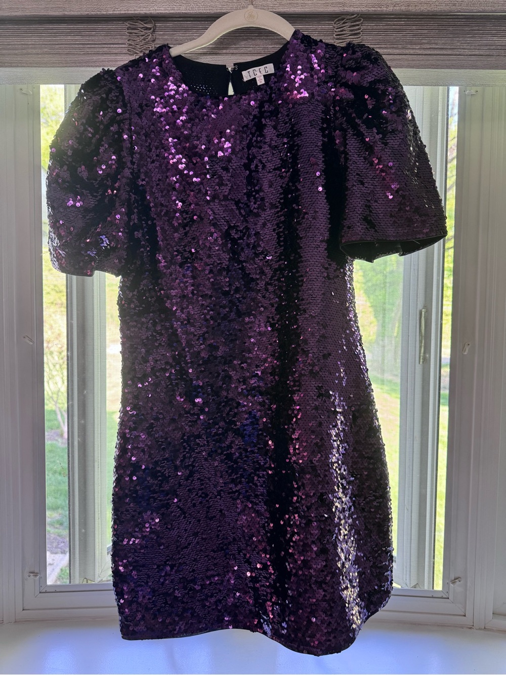 TCEC Metallic Purple Sequin Top